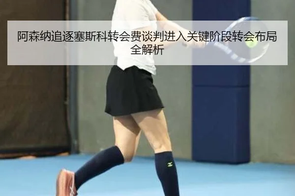阿森纳追逐塞斯科转会费谈判进入关键阶段转会布局全解析