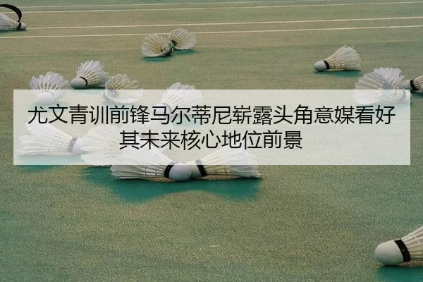 尤文青训前锋马尔蒂尼崭露头角意媒看好其未来核心地位前景
